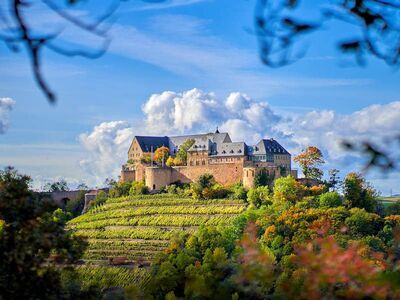 Panorama der Ebernburg in Bad Kreuznach mit Blick auf die historische Burg und die umliegende Landschaft